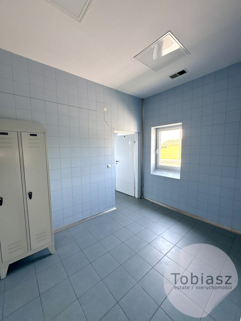 Magazyn Wynajem Wiktorowice 10