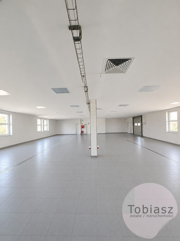 Magazyn Wynajem Wiktorowice 5