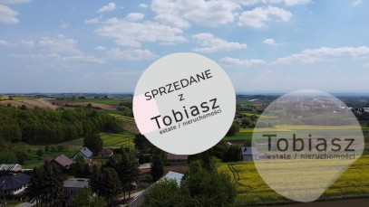 Działka Sprzedaż Pietrzejowice
