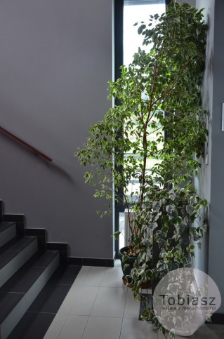 Lokal Wynajem Kraków Nowa Huta 6