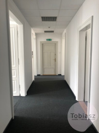 Lokal Wynajem Kraków Śródmieście