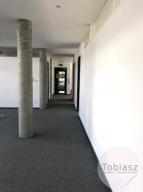 Lokal Wynajem Kraków Podgórze